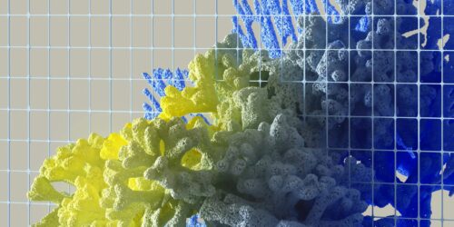 pexels-googledeepmind-17484899